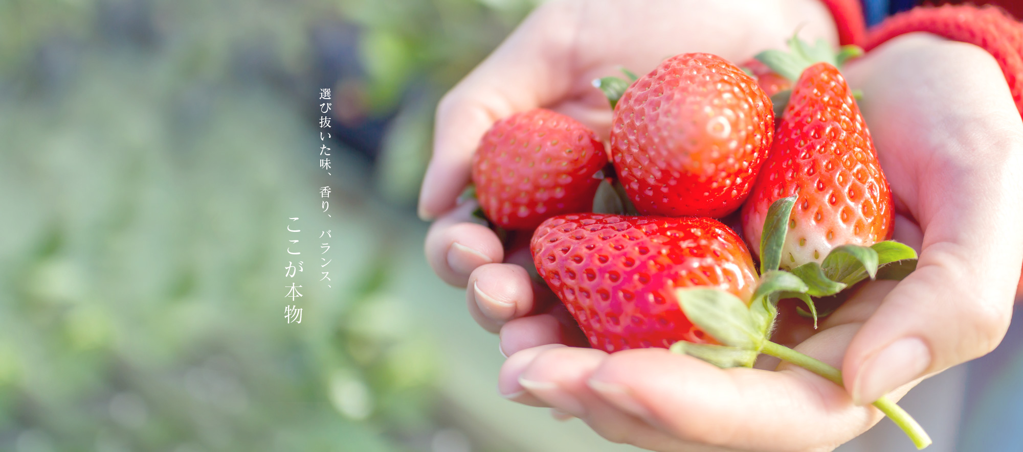 選び抜いた味、香り、バランス、ここが本物